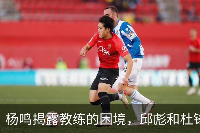 杨鸣揭露教练的困境，邱彪和杜锋的小团队行为是否成为自保策略？